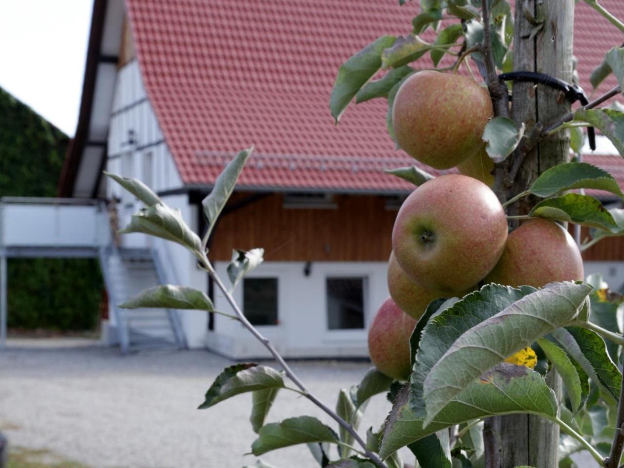 Ferienhof Waggershauser FDH Exterior photo